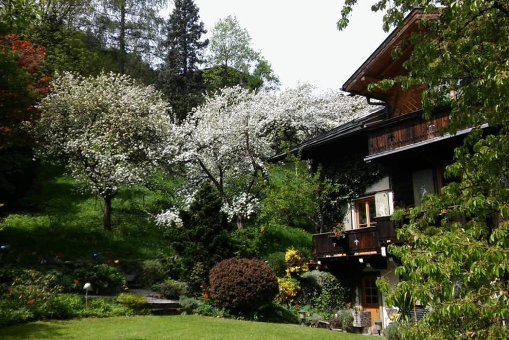 Alpenrelax Haus Weidmannsheil Wohnen Im Romantischen Forsthaus Werfen Luaran gambar