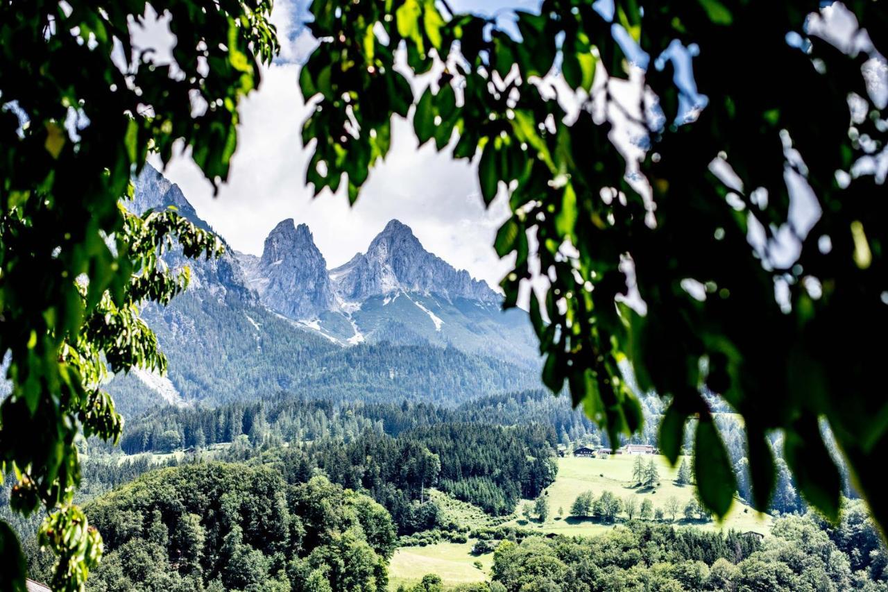 Alpenrelax Haus Weidmannsheil Wohnen Im Romantischen Forsthaus Werfen Luaran gambar