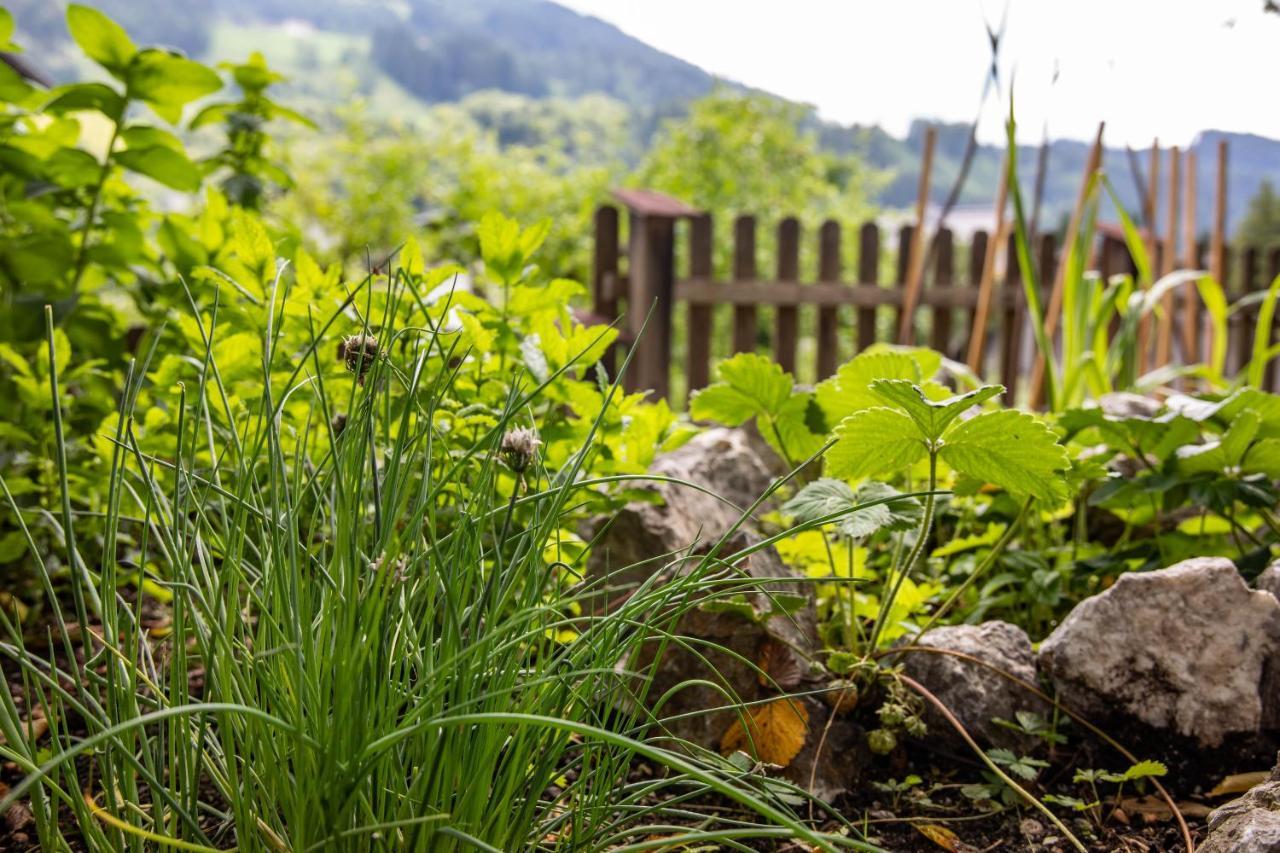 Alpenrelax Haus Weidmannsheil Wohnen Im Romantischen Forsthaus Werfen Luaran gambar